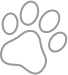 team-3-sign